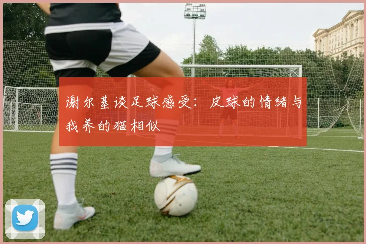 谢尔基谈足球感受：皮球的情绪与我养的猫相似